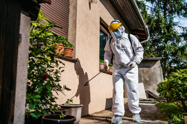 Best Rodent Control Near Me  in Woodcrest, CA